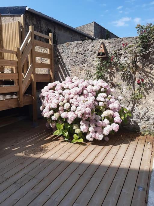 Champetre - Gite Entierement Neuf A 100 Metres De La Plage Wimereux Exteriör bild